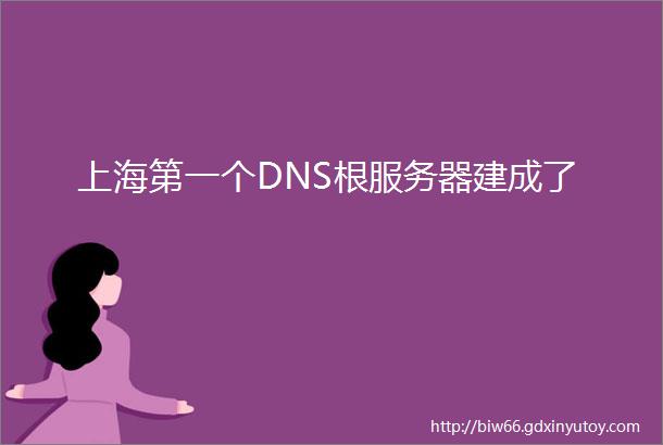上海第一个DNS根服务器建成了